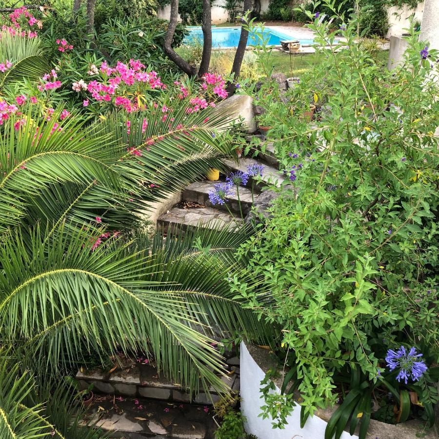 L'Appartement - Jardin Secret مارسيليا المظهر الخارجي الصورة