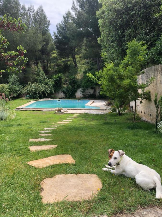L'Appartement - Jardin Secret مارسيليا المظهر الخارجي الصورة