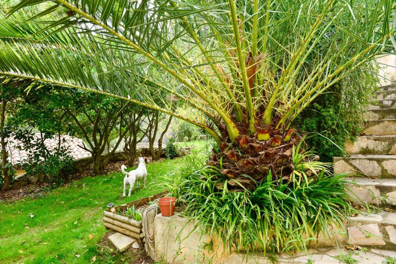 L'Appartement - Jardin Secret مارسيليا المظهر الخارجي الصورة